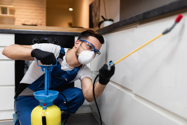 Best Affordable Pest Control Services  in Onalaska, TX