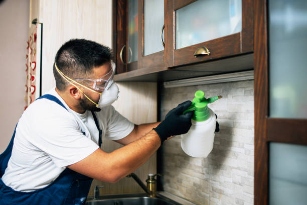 Best Wildlife Control Services  in Onalaska, TX