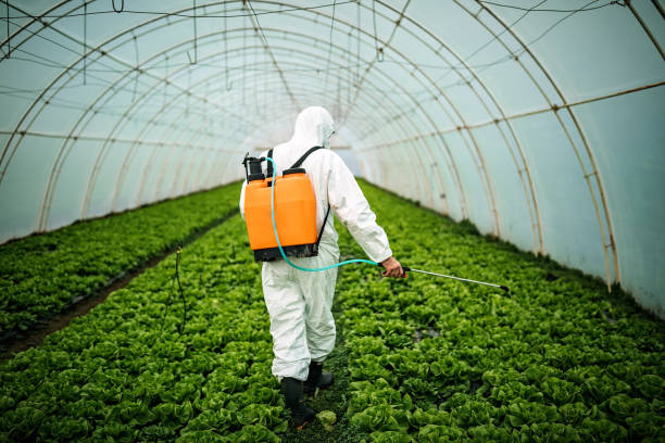 Best Pest Control Cost  in Onalaska, TX