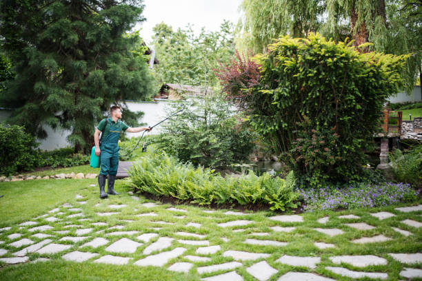 Best Pest Prevention Services  in Onalaska, TX