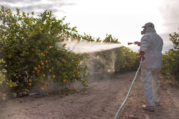 Best Pest Inspection Near Me  in Onalaska, TX