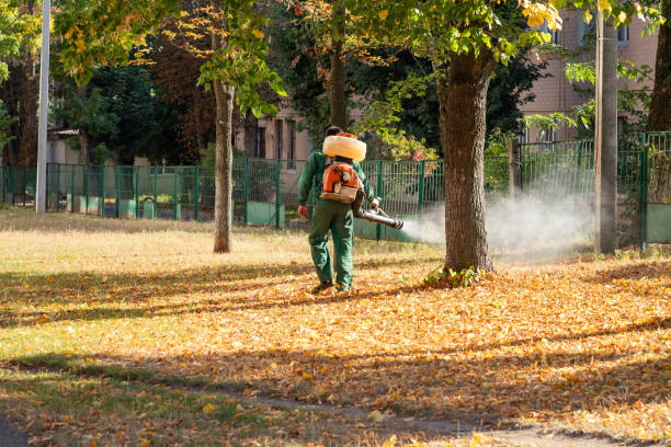 Best Residential Pest Control  in Onalaska, TX